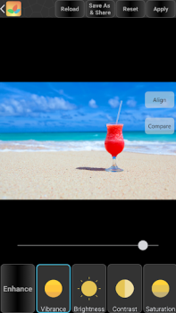 Descargar Bonfire Photo Editor Pro Arte y Diseño para Android captura de pantalla 4
