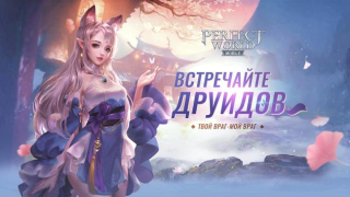 Descargar Perfect World Mobile Juegos de rol para Android