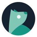 Descargar  Evie Launcher