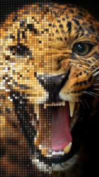 Descargar Punto de cruz: Cross Stitch Rompecabezas para Android captura de pantalla 7
