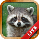 Descargar Animales para Niños