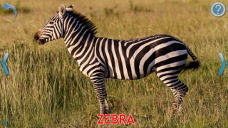 Descargar Animales para Niños Juegos de aprendizaje para Android captura de pantalla 3