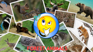 Descargar Animales para Niños Juegos de aprendizaje para Android captura de pantalla 5
