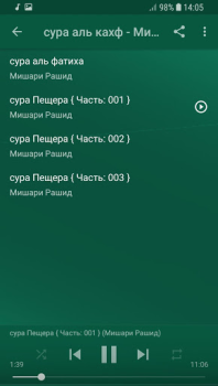 Descargar сура аль кахф Мишари Рашид Estilo de vida para Android captura de pantalla 2