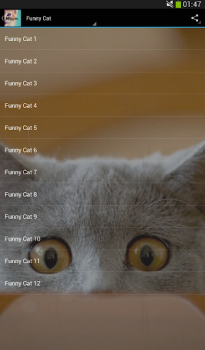 Descargar Sonidos de los gatos! Música y audio para Android captura de pantalla 2