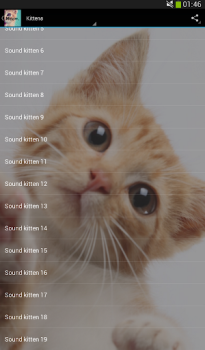 Descargar Sonidos de los gatos! Música y audio para Android captura de pantalla 5