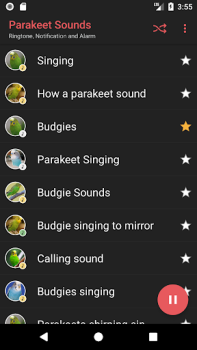 Descargar Appp.io - Sonidos del Parakeet Entretenimiento para Android captura de pantalla 2