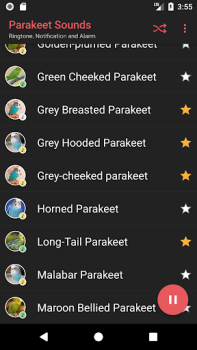 Descargar Appp.io - Sonidos del Parakeet Entretenimiento para Android captura de pantalla 3