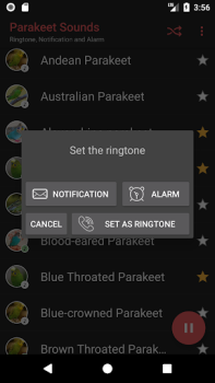 Descargar Appp.io - Sonidos del Parakeet Entretenimiento para Android captura de pantalla 4