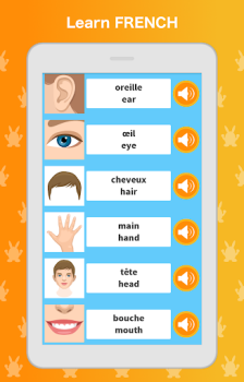 Descargar Aprende Francés: Habla, Lee Educación para Android captura de pantalla 7