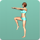 Descargar  Aerobics workout at home