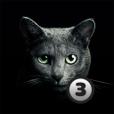 Descargar  Найди кота 3