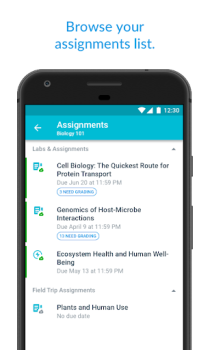 Descargar Canvas Teacher Educación para Android captura de pantalla 2