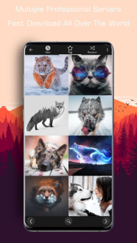 Descargar Millones de fondos de pantalla Personalización para Android captura de pantalla 4