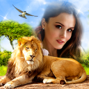 Descargar  Marcos de Animales 🐅🐈 Collage de Naturaleza