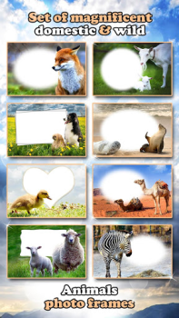 Descargar Marcos de Animales 🐅🐈 Collage de Naturaleza Foto para Android captura de pantalla 6