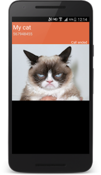 Descargar llamada de teléfono falso Entretenimiento para Android captura de pantalla 2