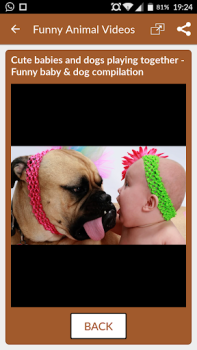 Descargar Videos Divertidos de Animales Entretenimiento para Android captura de pantalla 3