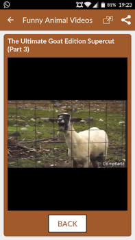 Descargar Videos Divertidos de Animales Entretenimiento para Android captura de pantalla 6