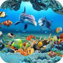 Descargar  Pez Koi Fondo Animado 3D