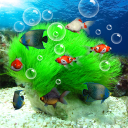 Descargar  Acuario