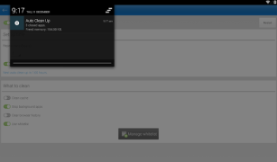 Descargar Auto Limpiar Herramientas para Android captura de pantalla 7