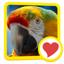 Descargar  600 Palabras