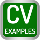 Descargar  CV Examples: PDF CV Templates