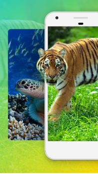 Descargar Fondos de Pantalla de Animales Personalización para Android captura de pantalla 2