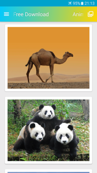 Descargar Fondos de Pantalla de Animales Personalización para Android captura de pantalla 3