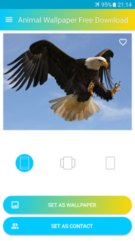 Descargar Fondos de Pantalla de Animales Personalización para Android captura de pantalla 4