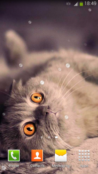 Descargar Gatos de pantalla en vivo Personalización para Android captura de pantalla 6