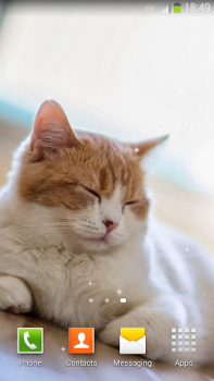 Descargar Gatos de pantalla en vivo Personalización para Android captura de pantalla 7