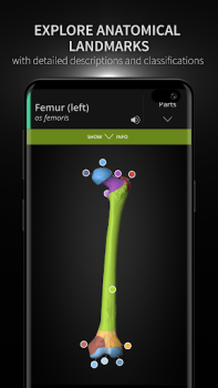 Descargar Anatomyka - Anatomía 3D Medicamento para Android captura de pantalla 2