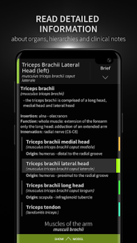 Descargar Anatomyka - Anatomía 3D Medicamento para Android captura de pantalla 3