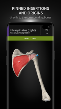 Descargar Anatomyka - Anatomía 3D Medicamento para Android captura de pantalla 4