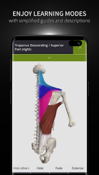 Descargar Anatomyka - Anatomía 3D Medicamento para Android captura de pantalla 6