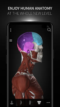 Descargar Anatomyka - Anatomía 3D Medicamento para Android captura de pantalla 7