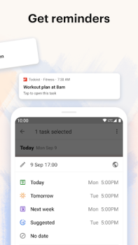 Descargar Todoist: Agenda y calendario Trabajo para Android captura de pantalla 3