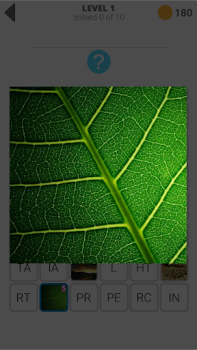 Descargar 30 уровней. Задача Juegos de palabras para Android captura de pantalla 4
