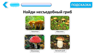Descargar Подготовка к школе: полный кур Educación para Android captura de pantalla 3