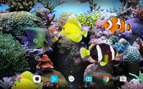 Descargar Coral Fish 3D Live Wallpaper Personalización para Android captura de pantalla 7
