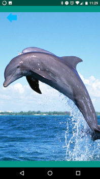 Descargar Sonidos de animal Entretenimiento para Android captura de pantalla 4