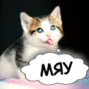 Descargar  Traductor de gatos. Sonidos de gato. Broma teaser