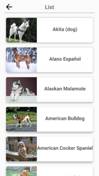 Razas de perros - Quiz!