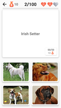 Razas de perros - Quiz!