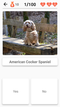 Razas de perros - Quiz!