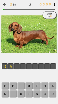 Perros: Foto-quiz sobre razas