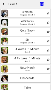 Perros: Foto-quiz sobre razas