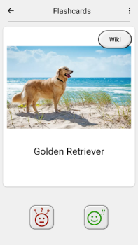 Perros: Foto-quiz sobre razas